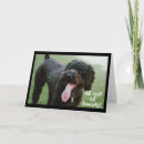 Search for for teenage boy birthday cards 13th