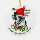 Search for catahoula christmas tree decorations Catahoula leopard dog