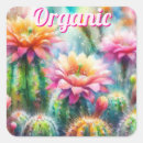 Search for cacti stickers Pink
