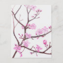 Search for flower tree postcards Blossom