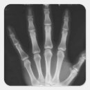 Search for skeleton hand stickers Bones