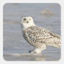 Search for cold temperature stickers Full length