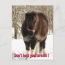 Search for hold postcards Snow