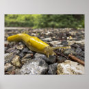 Search for slug art Photography