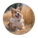 Search for dog cookware Pet