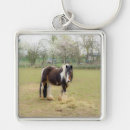Search for equestrian key rings Nature