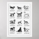 Search for vintage dog posters Pets