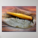 Search for saltwater fish posters Fishing