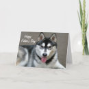 Search for malamute cards Photography