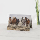 Search for foal christmas cards Horses