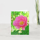 Search for hello photography Floral