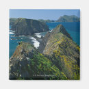 Search for southern magnets Usa