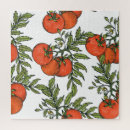 Search for tomato puzzles Nature