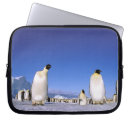 Search for antarctic peninsula electronics Pete oxford