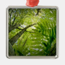Search for desert christmas tree decorations United states