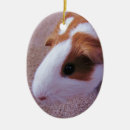 Search for guinea pigs christmas decor Hamster