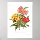 Search for rhododendron posters Floral