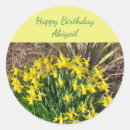 Search for spring daffodil stickers Floral