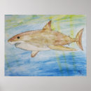 Search for megalodon art Shark