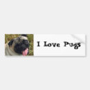 Search for pug love bumper stickers Car