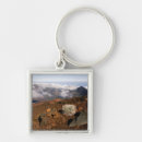 Search for rim key rings Usa