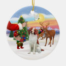 Search for brittany spaniel christmas tree decorations Pets