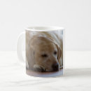 Search for sleeping dog mugs Sleepy