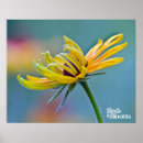 Search for black bird posters Flower
