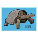Search for galapagos posters Santa cruz island