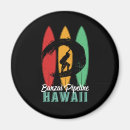 Search for hawaii magnets Travel