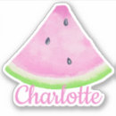 Search for pink triangle stickers Watermelon