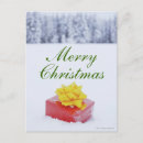 Search for parcels postcards Winter