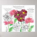 Search for chrysanthemum flower art November birthday