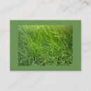 Search for seed business cards White