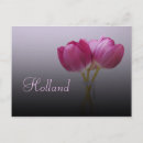 Search for pink flowers birthday postcards Tulip