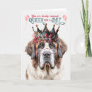 Search for st bernard cards Dogs