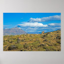 Search for santa cruz posters Outdoors