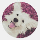 Search for classic smile stickers Dog