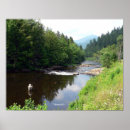 Search for flying fish posters Nature