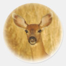 Search for deer stickers Yellow