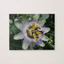Search for passion flower puzzles Photography