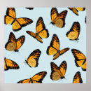 Search for vintage moth posters Background