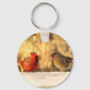 Search for ornithology key rings Birds