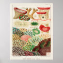Search for watercolour posters Vintage