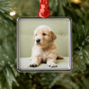 Search for couch christmas tree decorations Dog