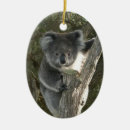 Search for koala christmas tree decorations Wildlife