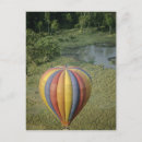 Search for masai mara postcards Kenya