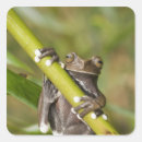 Search for endangered species stickers Nature