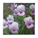 Search for pansy tiles Floral