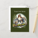Search for bird lovers postcards Eagle